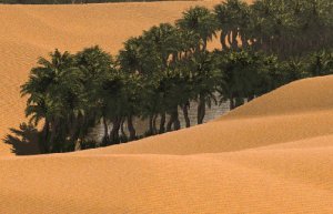 Enhanced terraforming build - turning deserts into forests