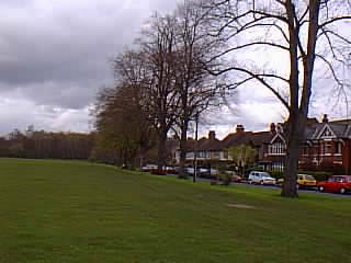 Horsell Common.