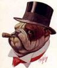 Bulldog